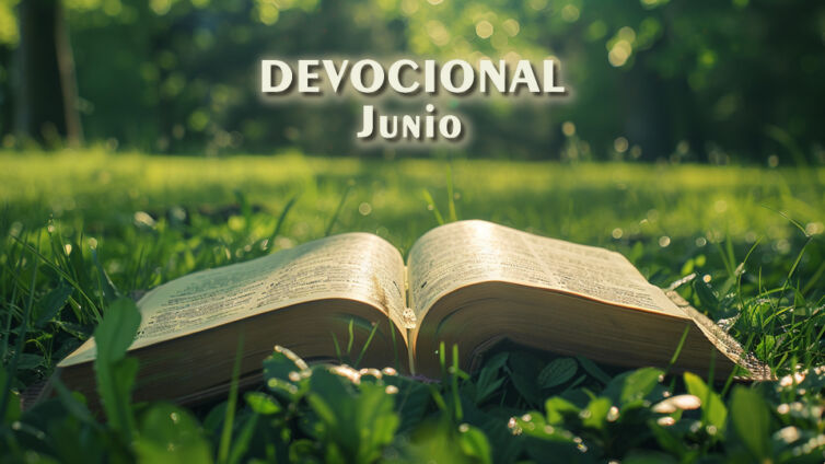 devo1
